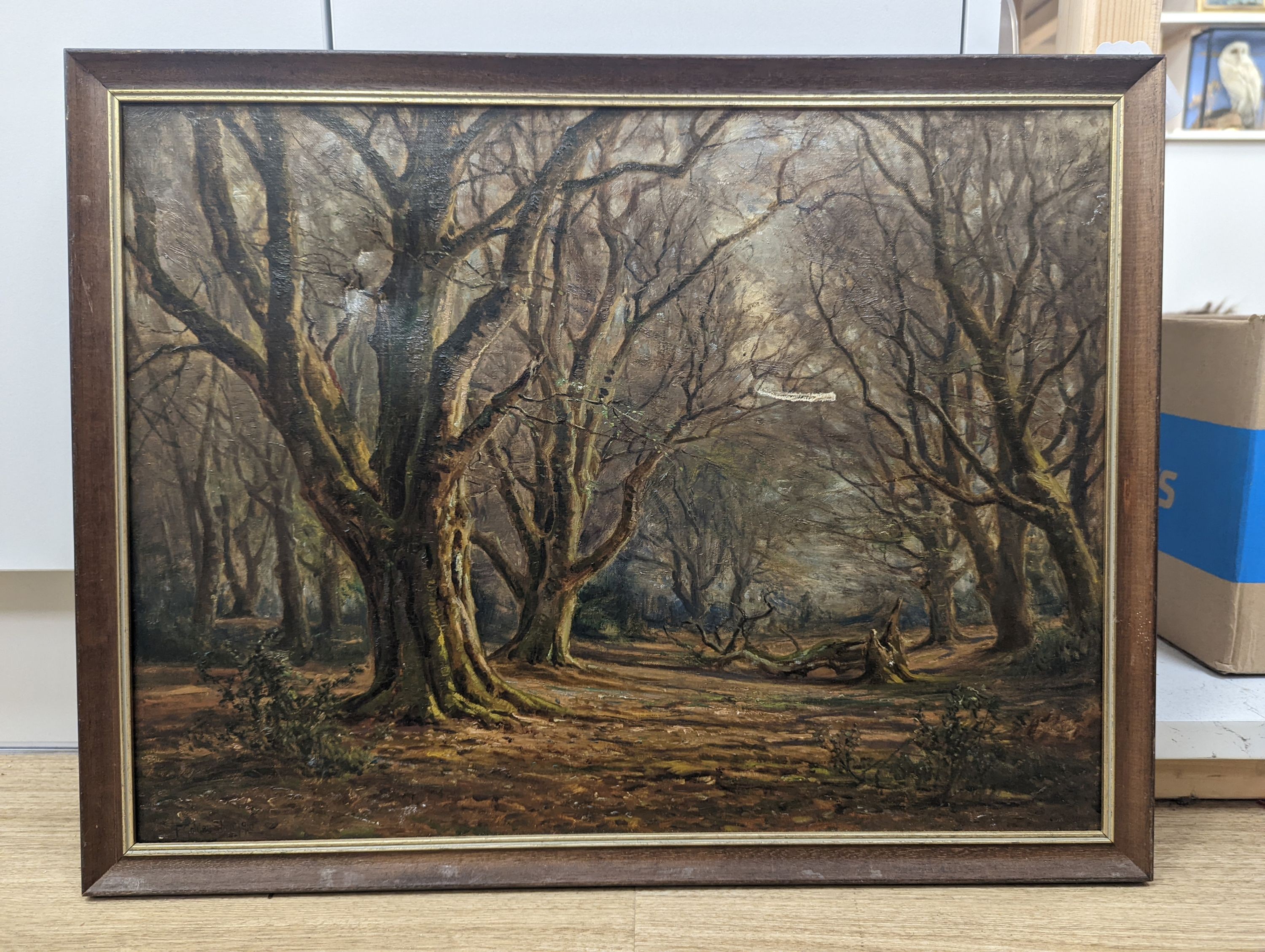 Frederick Golden Short (1863-1936), oil on canvas, Woodland in winter, signed and dated 1910, 40 x 53cm
